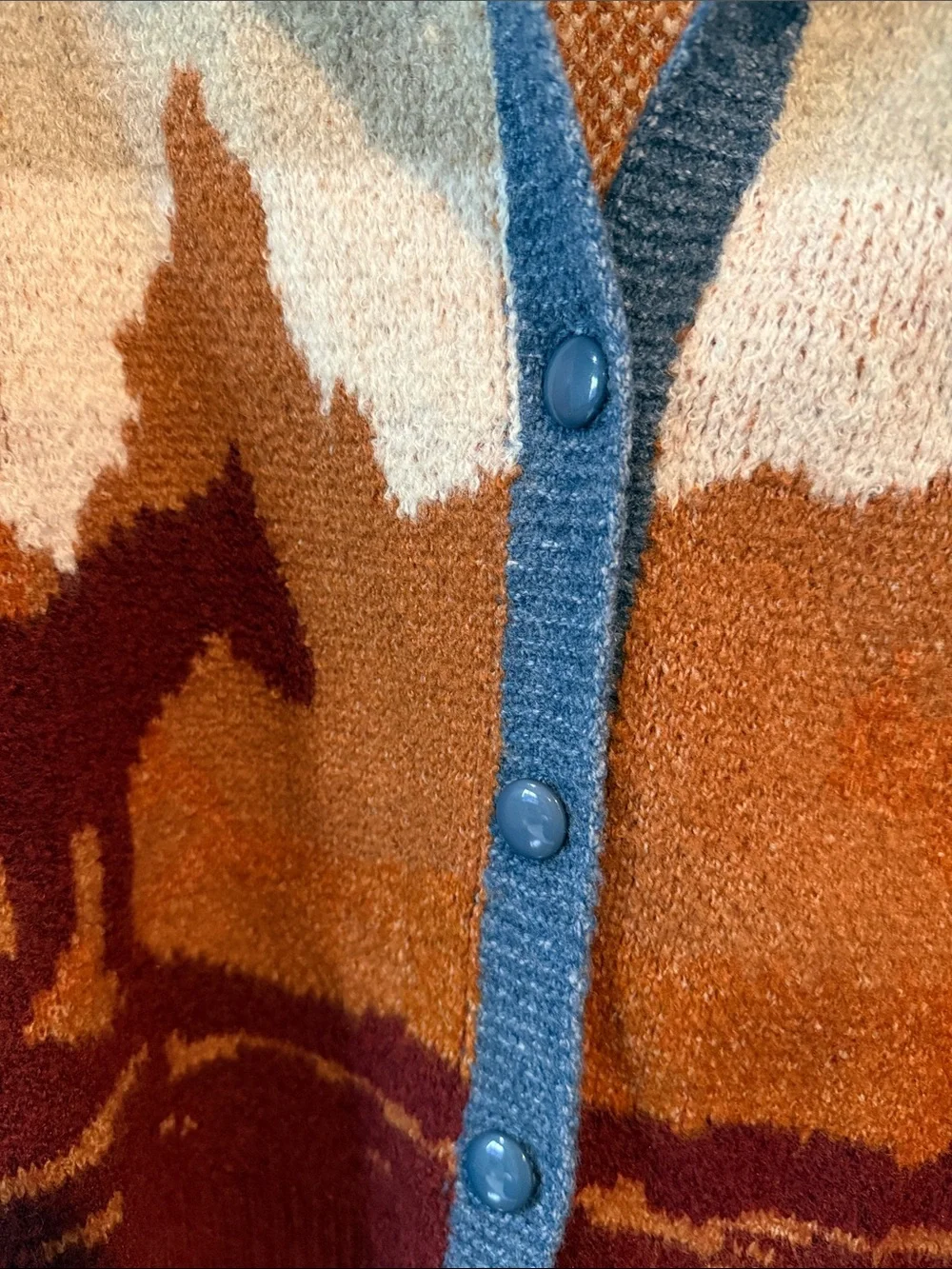 NWOT Scenic Desert Horse Button-Front Sweater Jacket - Rust, Blue, Cream